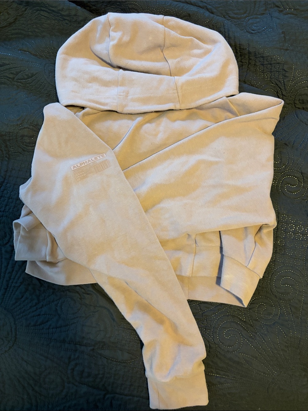 Alphalete Neutral Beige/Mauve Cropped Hoodie